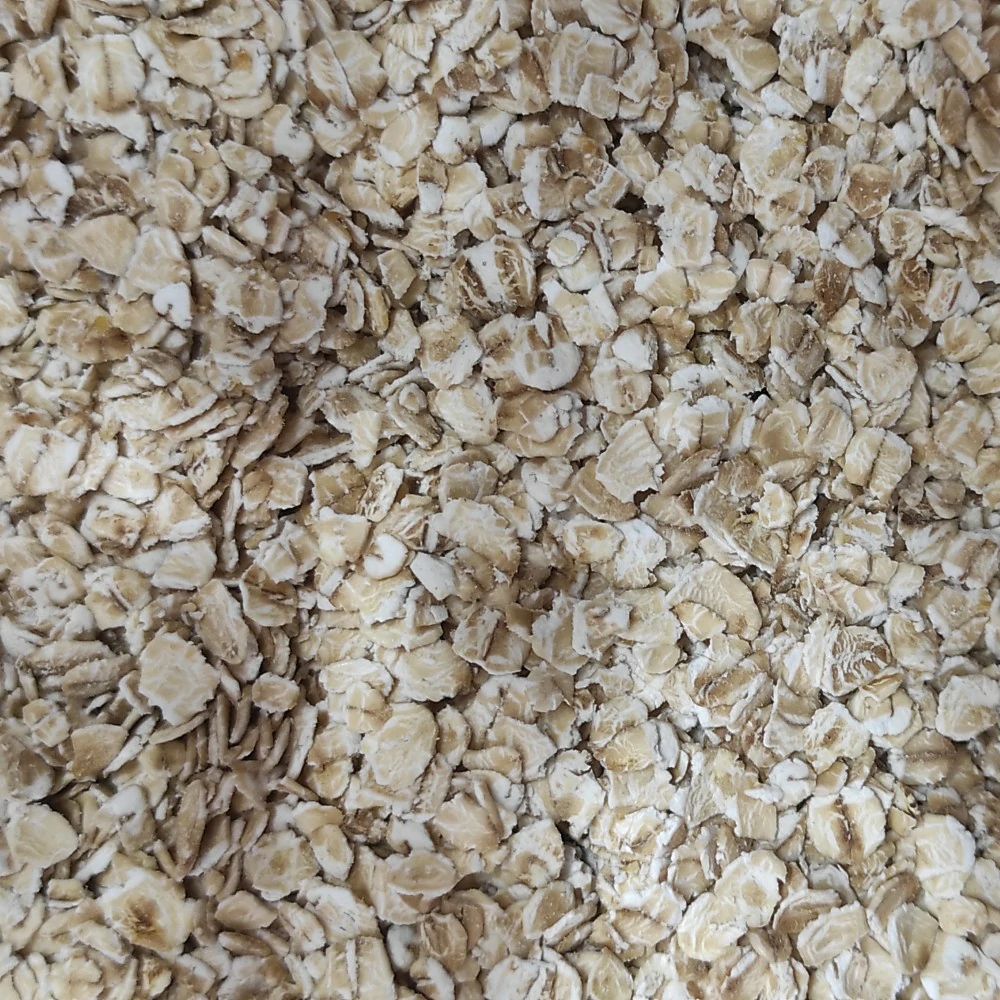 fiocchiavena