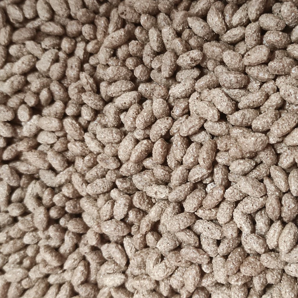 cerealialcioccolato