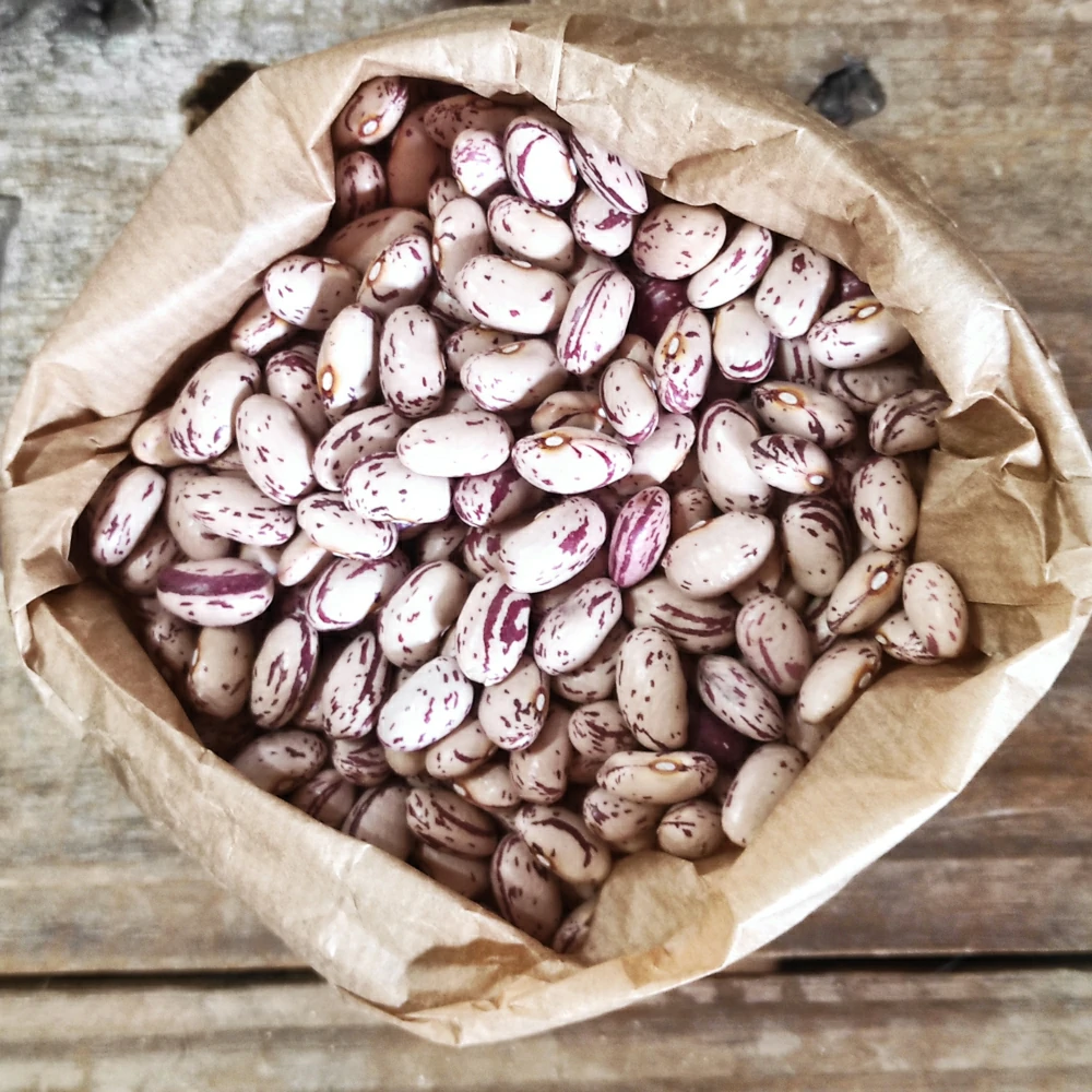 borlotti