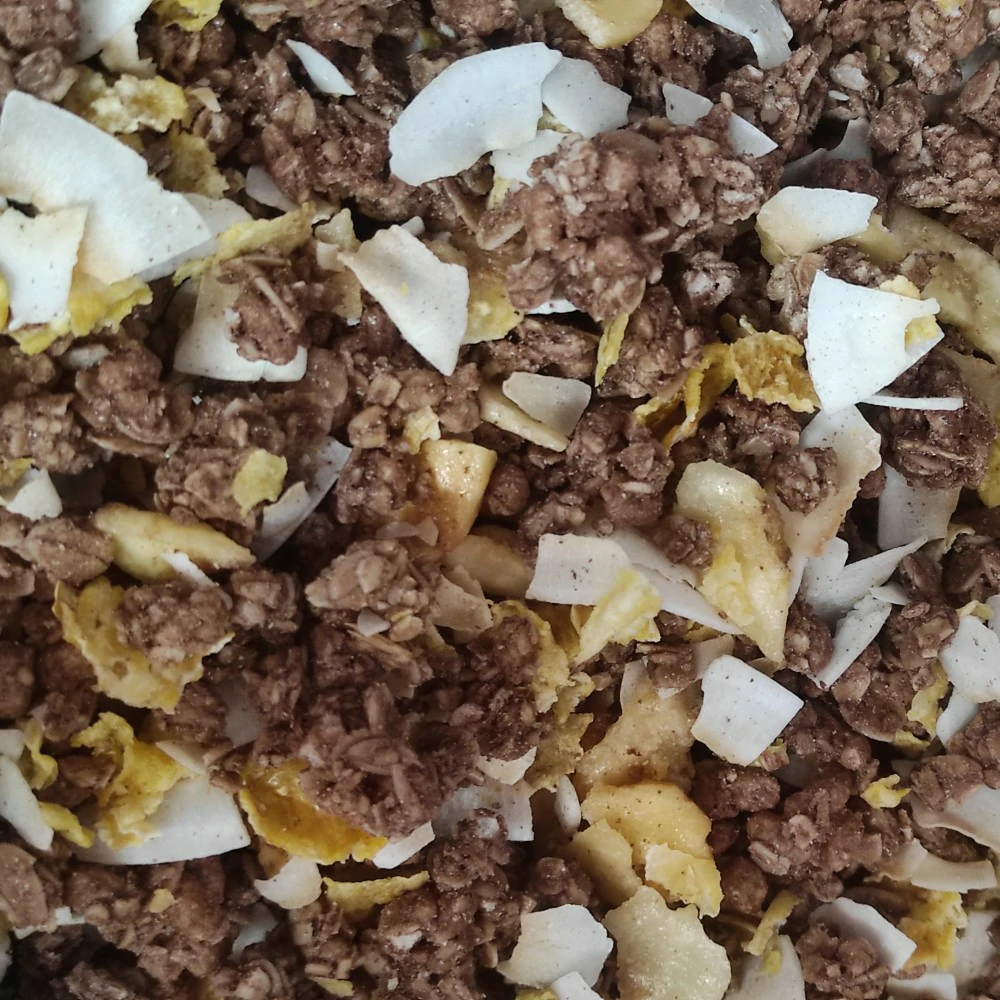 crunchycioccolato