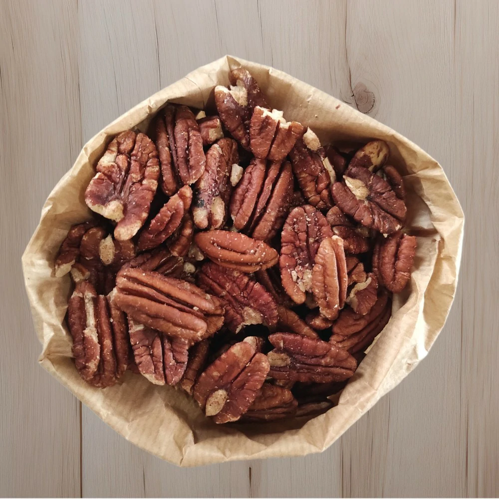 nocipecan