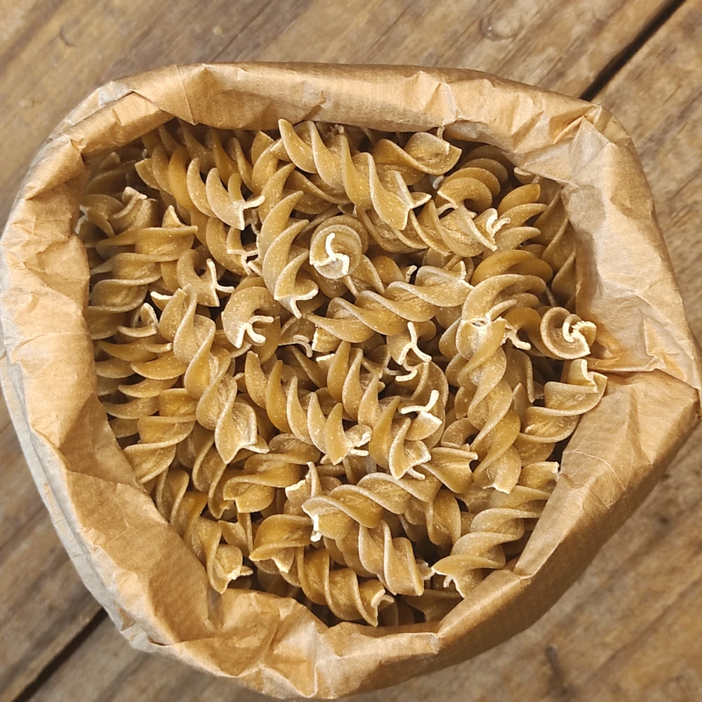 fusillidiavena