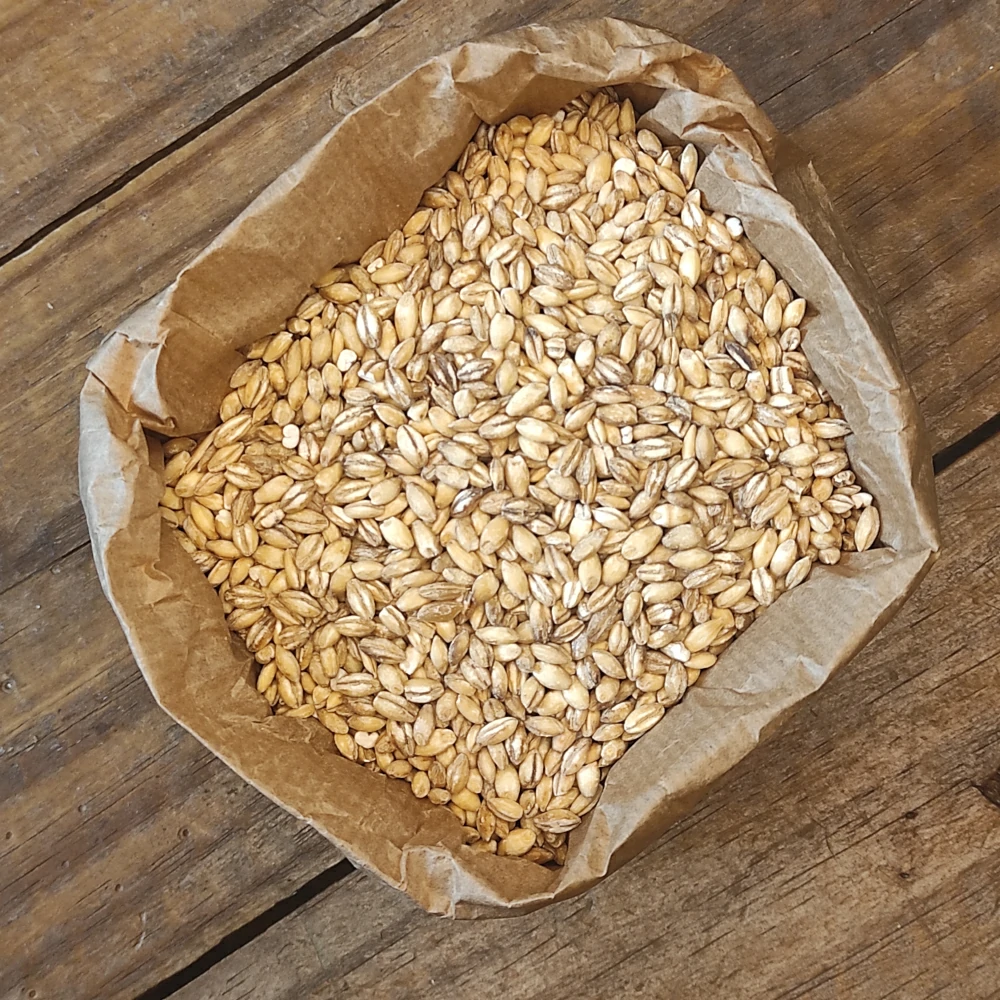 orzo