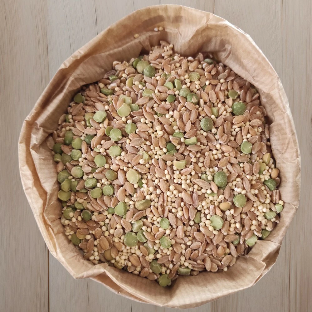zuppaperduta