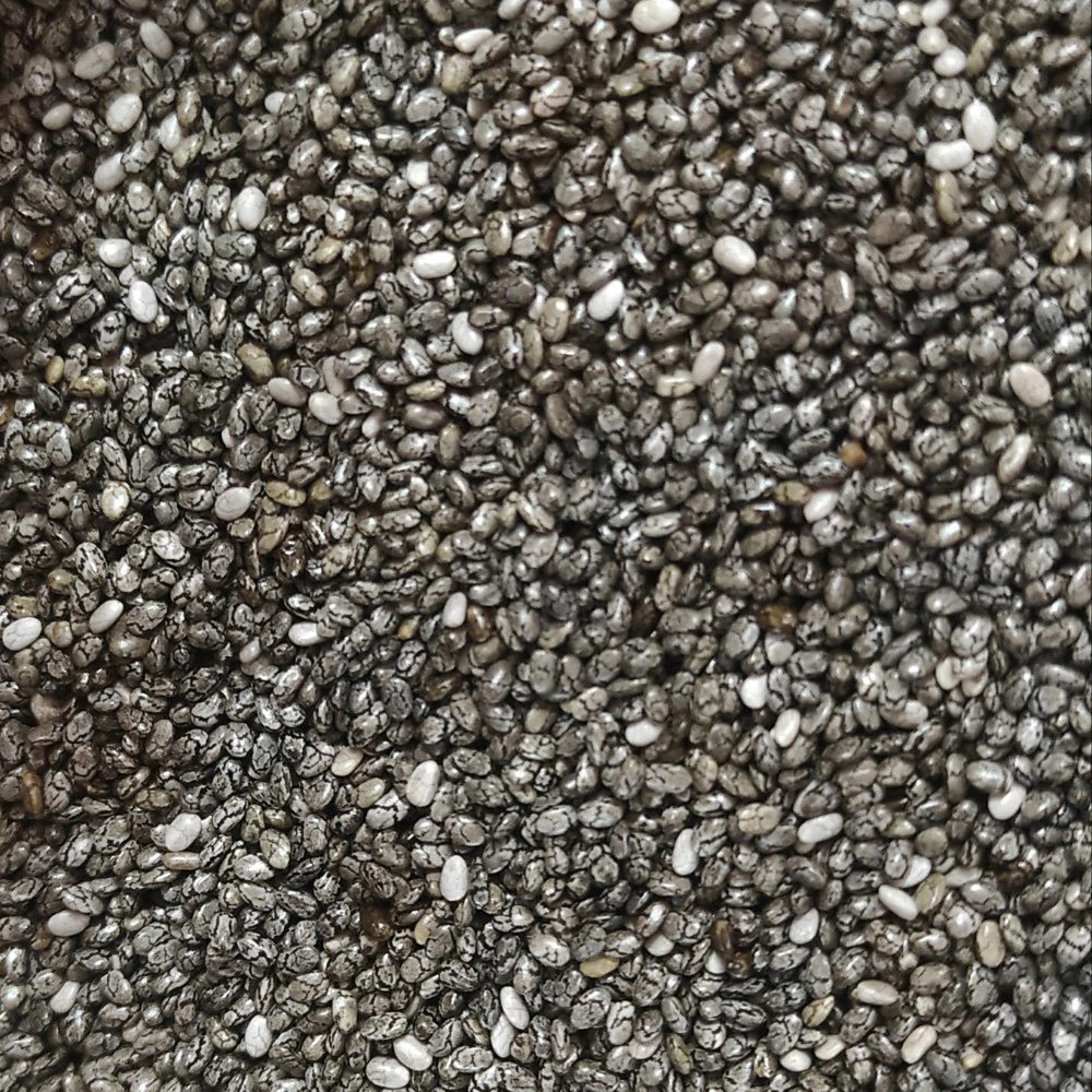 semichia